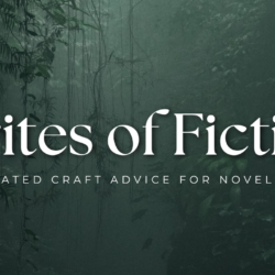 The Writes of Fiction